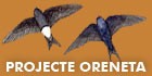 Projecte Oreneta