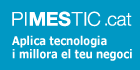 PIMESTIC.CAT Pla per a promoure els TIC a les empreses catalanes