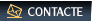  Contacte 