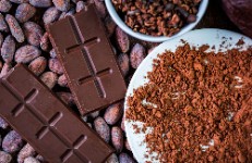 La canya de sucre i el cacau