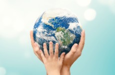 L'aparició de la vida a la terra