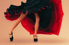 Flamenc (tardor)