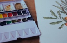 Gravat i aquarel·la botànica - Hivern