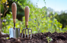 Oportunitats laborals del sector de la jardineria