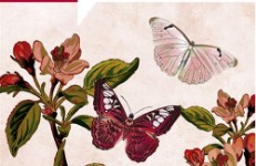 La Xina soc jo, de Xiaolu Guo