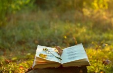 Taller: Què ens transmet la poesia? (Poetes universals)