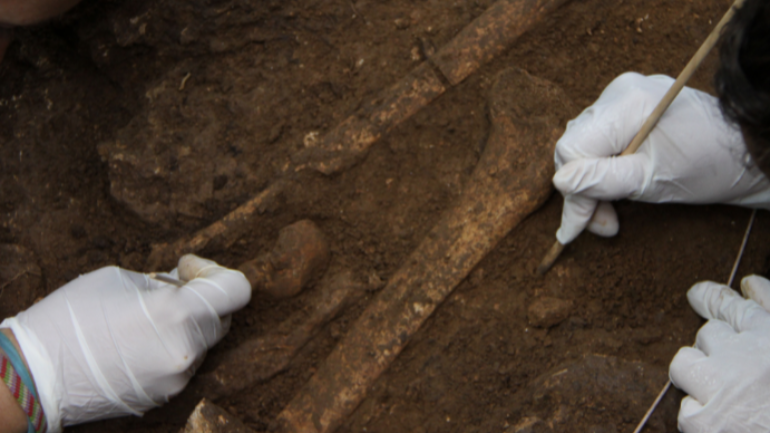 Arqueologia i alimentació