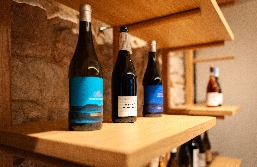 Cicle de tasts de vins i licors