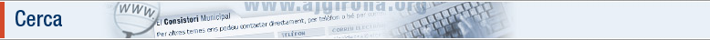 Cerca al web de l'Ajuntament de Girona