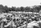 Girona markets 2. Cattle Market. 1900-1910. Author: unknown.