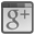 Google +